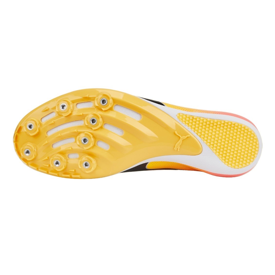 Puma Evospeed Sprint 14 - Unisex Sprint Spikes (Width D)